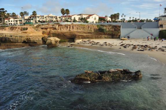 Pequena praia de La Jolla tomada por leões-marinhos (em San Diego, no sul da Califórnia - Estados Unidos)